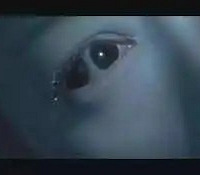 ��˫ͫ�����ǻ���ֲ�Ƭ���۷�