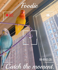 �������ܴ��ͣ���ĩ�������������