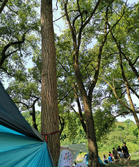 ���ճν��Ͻ֣�����Ƨ���ָɾ�����ɳ��ˮ�ĺõط�