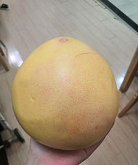 每年秋天都是爱柚子的季节,徒手剥皮果肉饱满,甜度刚刚好