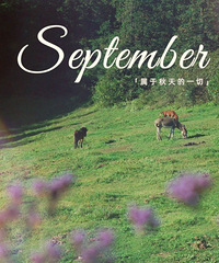 ��ĩ�������С���������������յ�Լ��