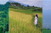 ܱõطЩֺĵ˽صֵһȥ