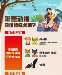 狂犬病病死率几乎100%!关于狂犬病,这些你要知道