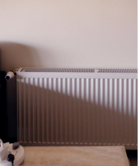 ԴھӼůƬ˲ֲˣȫռռ