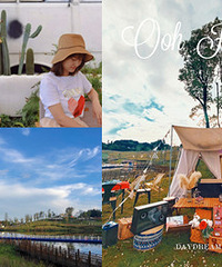 Կȥ¶Ӫأˣ¶࣬ܿǿ