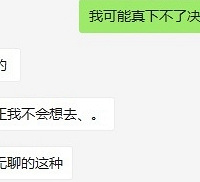 找了个神仙工作,很闲照常发工资