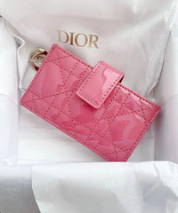 Dior���� �����̫ϲ����һ���������ɫ��
