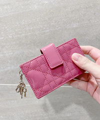 Dior���� �����̫ϲ����һ���������ɫ��