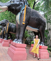 94��160CM���������飬ϣ���Է�����175����