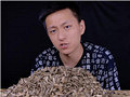 嗑瓜子能吃饱吗?