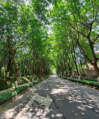 ڼҾܿ߶򳡣330ƽĲС¥װ