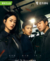 �����������糡Ҫ����