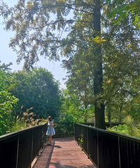 84�������С������飬ϣ���Է����Ҵ�