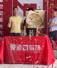 ǿ֢Ыװ244ƽѵڸ㶨