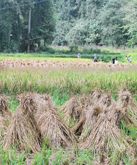 ����û��ȥ��ͯ��԰����С������ڣ��������޻��ϼ��ջ���ô�ࡣ