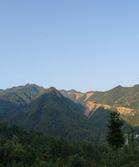 ������ڣ����������10��