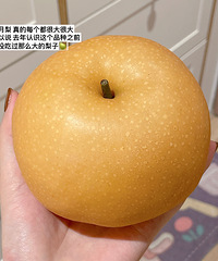 网购的秋月梨是梨届天花板!每个梨都超大 爆甜 多汁儿!