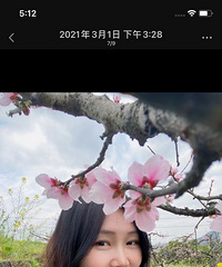 84��156CM��С������飬ϣ���Է��ŵ�����