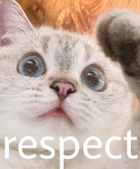 ���������������۶���ʦ�ֹ�ϵ����