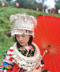 87��157CM����ְҵ��С������飬ϣ���Է�������