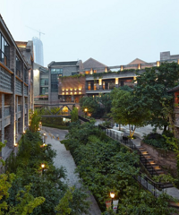 Ϊһ¼ƬϺ˶죬²Ұѷ