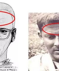 37�˱���������ɱ�����������ˣ�