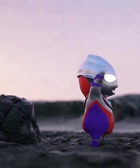 ��ά�ݽ���29�����ֶ�ͯˮ�ʱ�12ɫ19.9