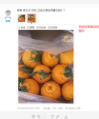 某宝的第一次购物维权献给了不知火耙耙柑!!!收到我都震惊了
