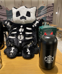 ǰͿµٶ̫죬ʥϵˣѽ