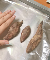 这个天气,烤个红薯chichi吧~真的巨甜!