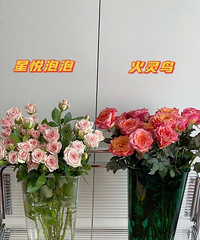 直播间买的鲜花,到货还不错哦!开始来醒花了