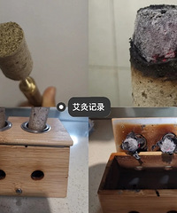 ���ģ��ݽ�=ʹ���ݰݣ���ɫ���ã�