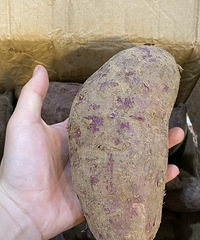 拼多多上买的紫薯真不错!20元9.5斤,还是超大果