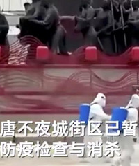 上海那对老夫妇,被骂的不该是他们