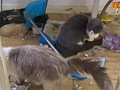 租客退租房东傻眼