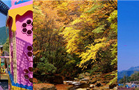 ֪ȥģܱЩʺϽεĵط