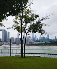 ��ô�о������˫ʮһ����Ȼ������̳��أ�