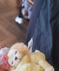 迪士尼要命了,扎头发的都这么乖