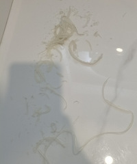 女汉子又上线了!铲掉发霉的玻璃胶,自己涂美缝剂