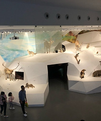 ������Ȼ��������ޣ�