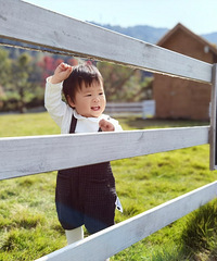 ����ѧ�ѵĸ裬��ĩ���ӳ���