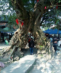 34岁170CM的国企哥子征婚,喜欢户外活动