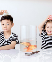 �������������һ��������~