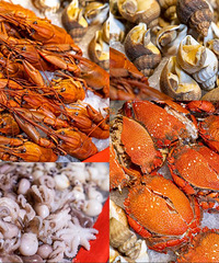 100+��ɫ������ѡ����Һ��������������ɳԻر�