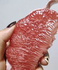 ˣƴˮʳһ£ӳ԰Сɿ