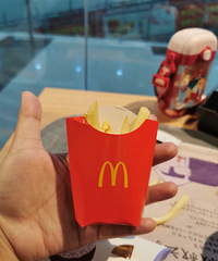 �󵱵����ڵ�С���᲻��̫�����ˣ�С���Ҷ�������