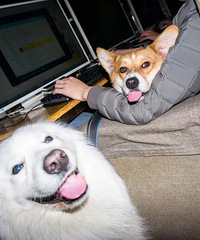 ʮ��ǰ���й�������������޴���ǲ�ĺɶ���