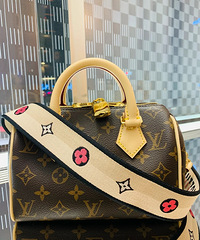 LV speedy 20ͼˣСҲ̫˰