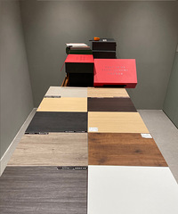 С̽꡿Լ۱ȣʵؿMOȫݶ