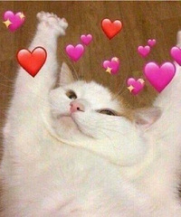 ����ѧ��ʱ��ϲ�����ˣ����Ǻ�������ʲô������